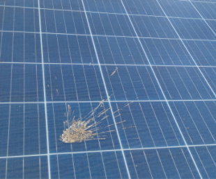 你還在用人工清潔光伏板嗎？(圖2)